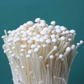 金針菇 