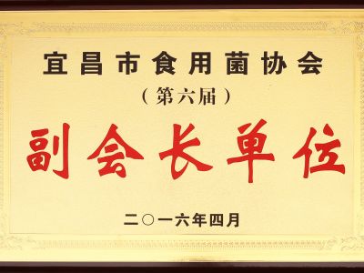 裕禾菌業獲誠宜昌食用菌協會副會長