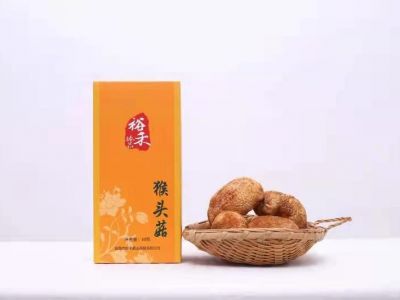 猴頭菇