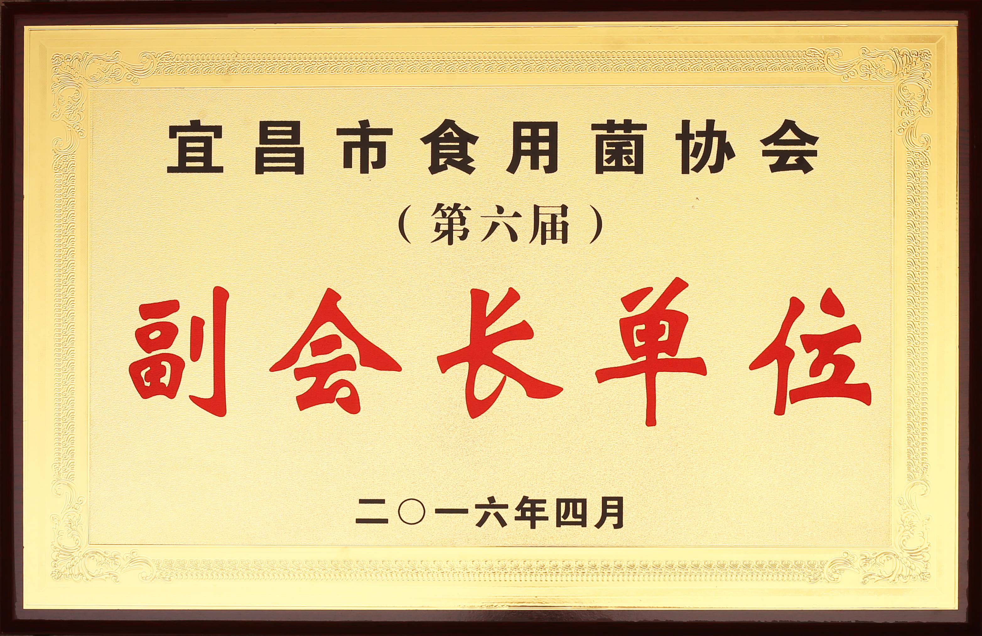 宜昌食用菌協會.jpg