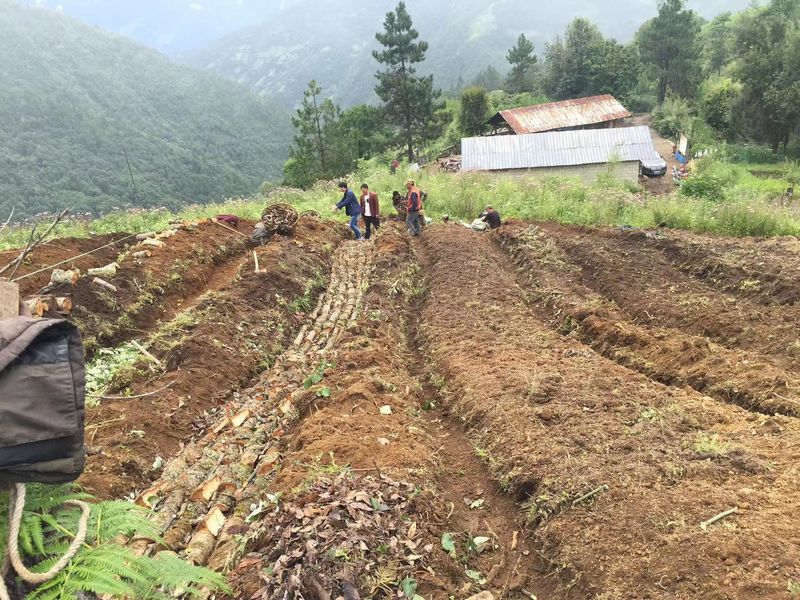 基地播種.jpg
