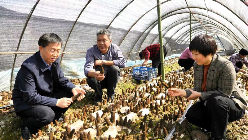 專家教授百里洲基地指導.jpg